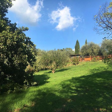 Madonnella Agricola Villa Cesano Exterior photo